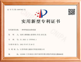 一种蒜素呼吸治疗仪专利